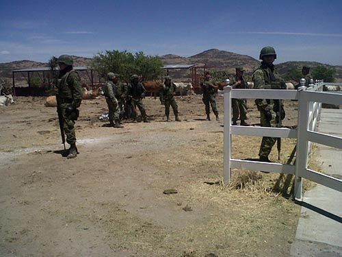 narcolaboratorio-nochistlan-zacatecas16