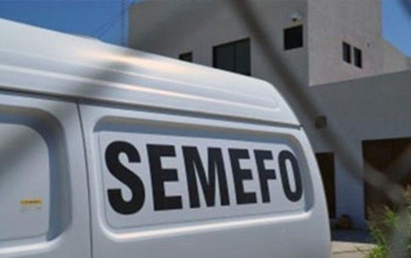 semefo1-600x377 semefo1-600x377
