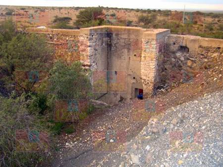 muerto-fresnillo muerto-fresnillo