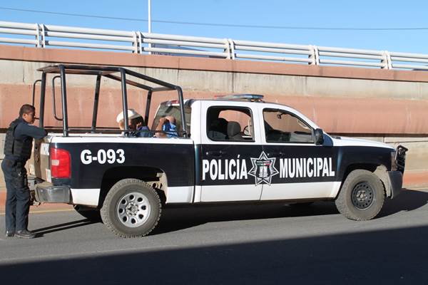 pelea-4