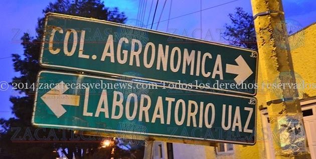sexagenaria sexagenaria