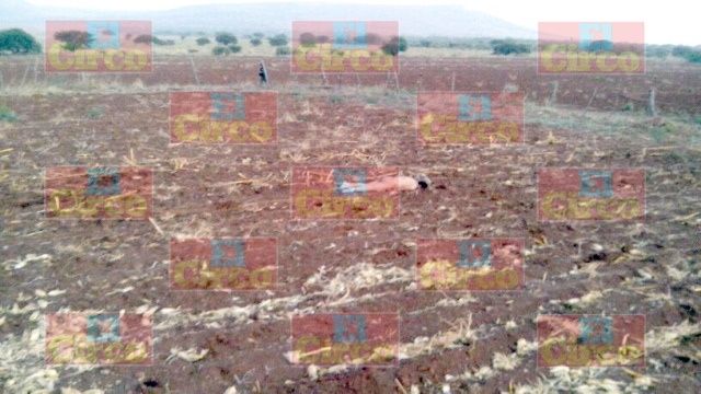 fresnillo fresnillo