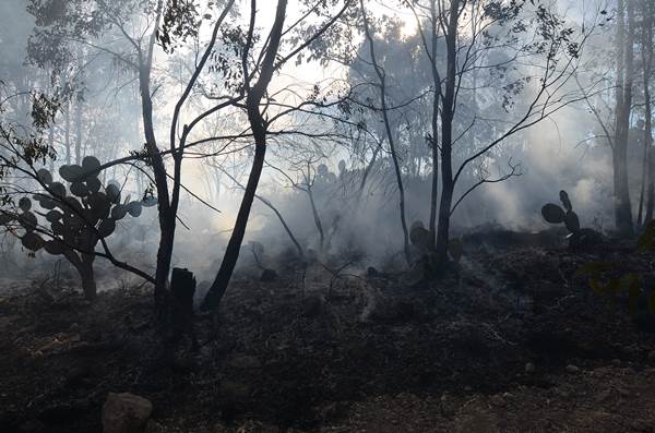 incendio-1