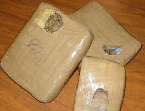 marihuana marihuana