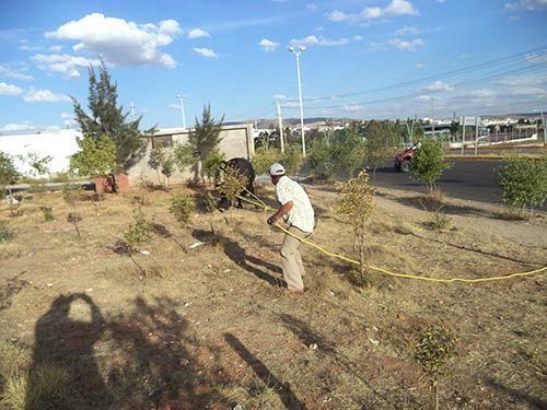 vaquilla-finanzas-zacatecas-1
