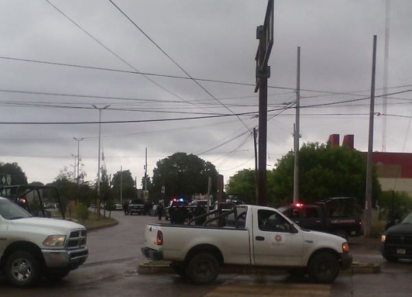 movilizacion guadalupe 1