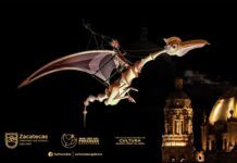 Programa completo Festival Internacional de Teatro de Calle Zacatecas 2026