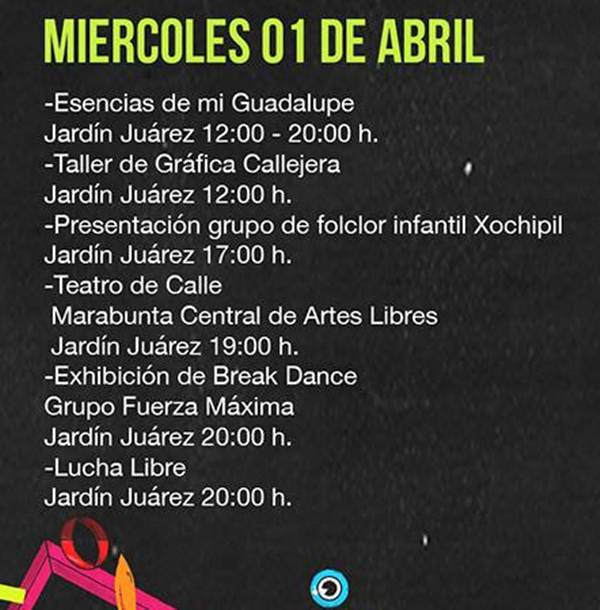 festival 6