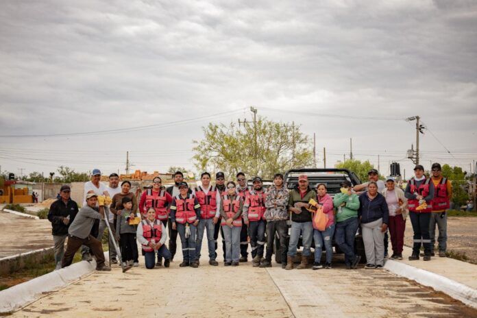 reforestacion-11