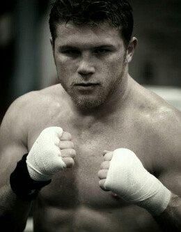 canelo canelo
