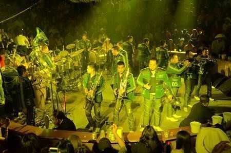 banda-ms-33