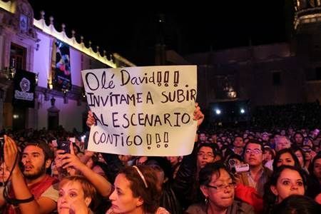 david-bisbal-6