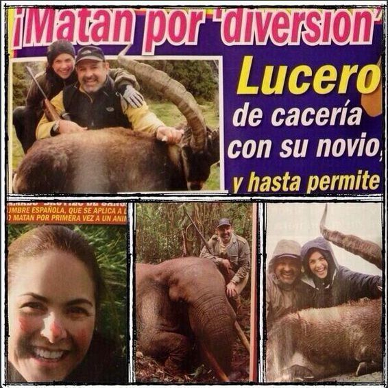 lucero1