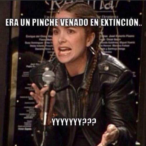 lucero4