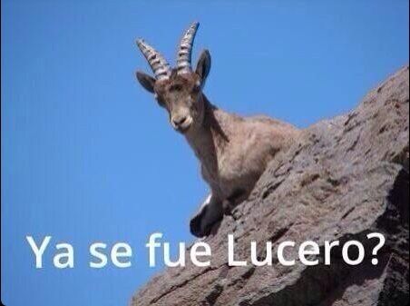 lucero6