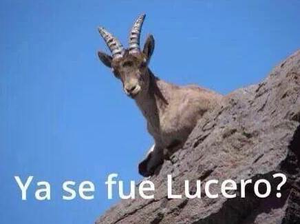 lucerito12