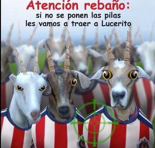 lucerito3