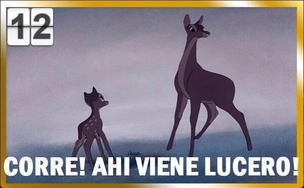 lucerito4