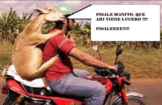 lucerito6
