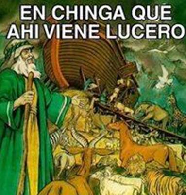 lucerito9