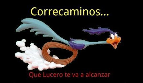 lucerito2