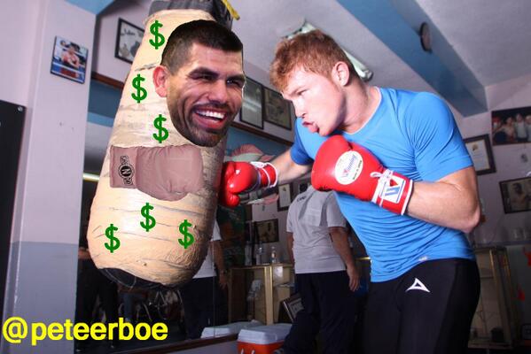 perro-angulo-7 perro-angulo-7