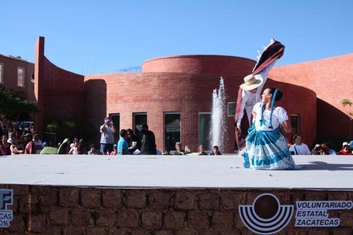 verbena-zacatecas verbena-zacatecas
