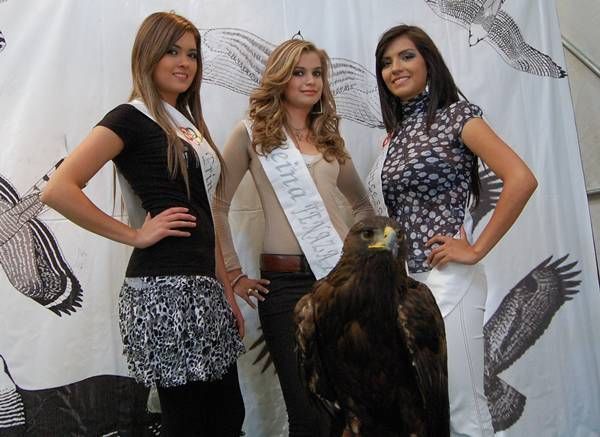 aguilas2