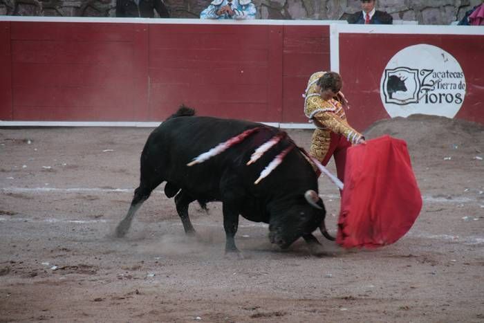 corrida-fundacion-zac-10