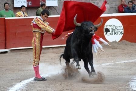 08toros1