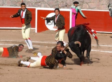 08toros4