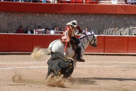 08toros5