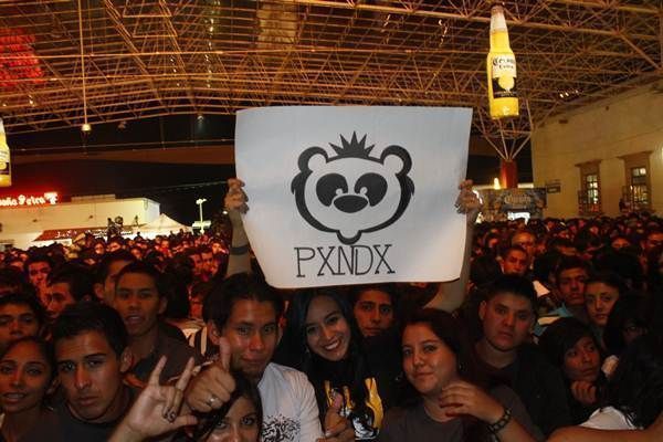 panda-fenaza2