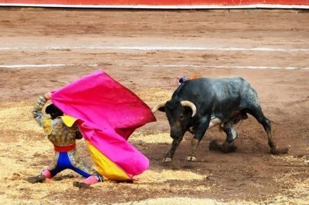 14Toros05