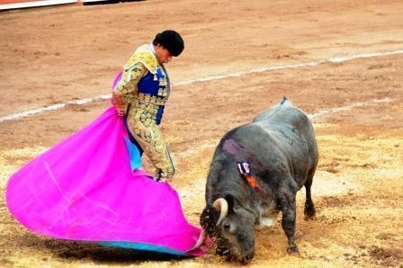 14Toros08