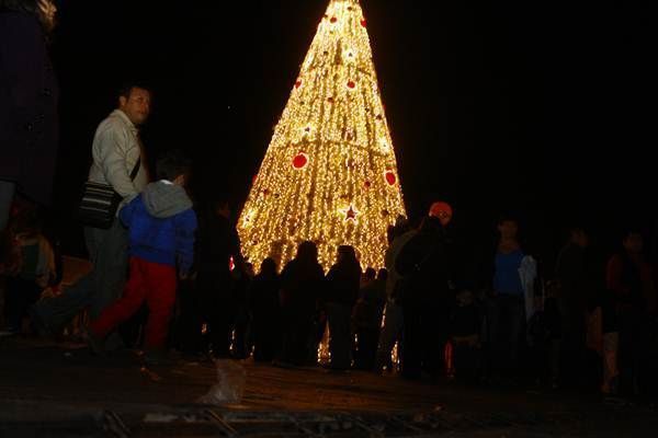 encendido-arbol-coca-cola-zac-11