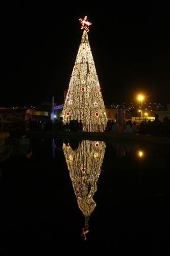 encendido-arbol-coca-cola-zac-8