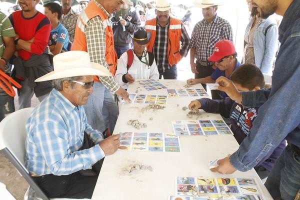 feria-mina-7