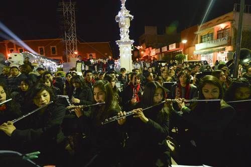 arbol-fresnillo-11
