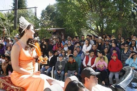 desfile-carnaval-jerez-77 desfile-carnaval-jerez-77