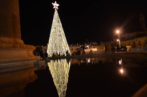 arbol-101