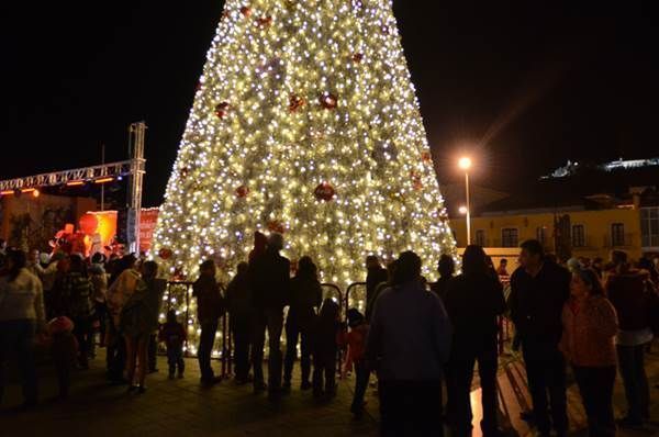 arbol-99