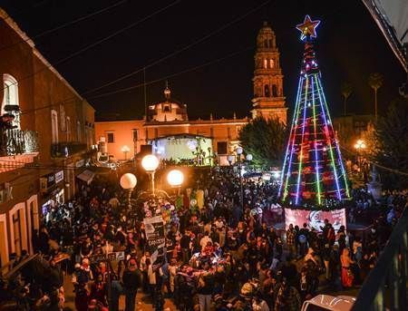 arbol-fresnillo-44 arbol-fresnillo-44