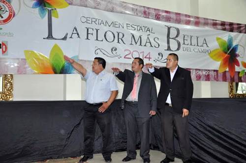 flor-bella-campo