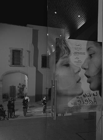 salzacatecas-4