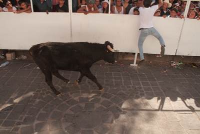 jerezada-10