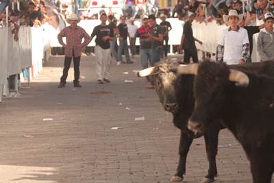 jerezada-13