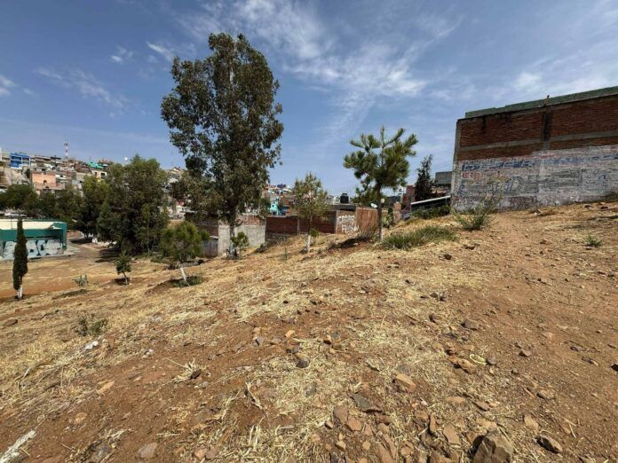 terreno