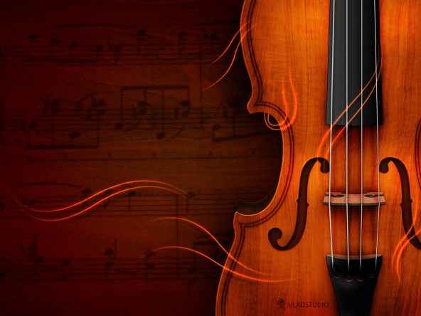 viola-c6b