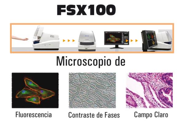 microscopia-b05